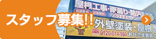 スタッフ募集