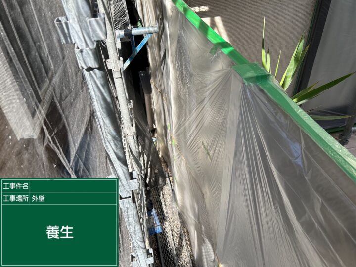 養生