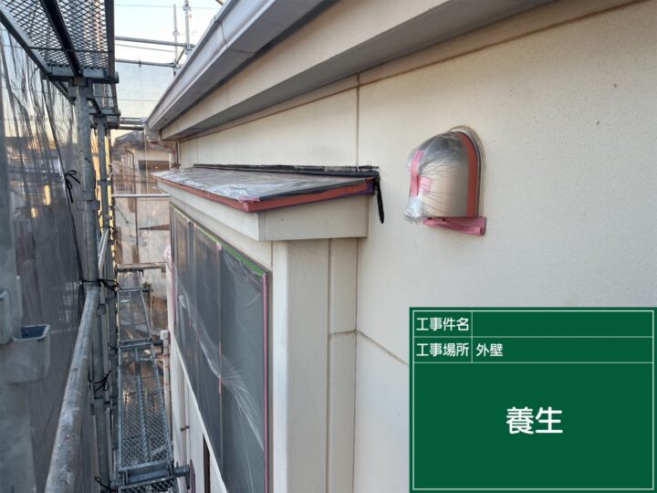 養生