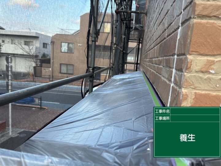 養生