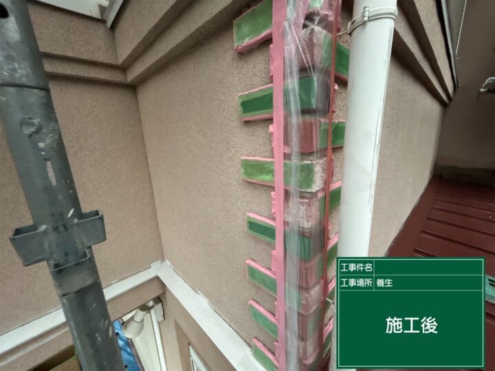 養生
