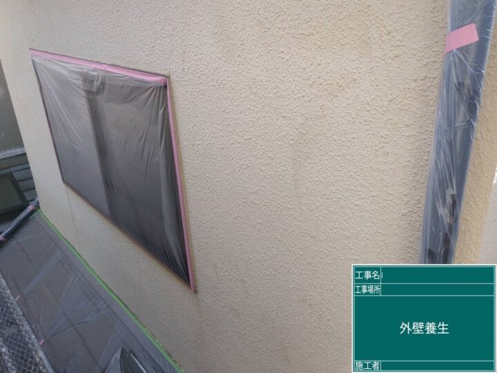 養生